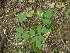  ( - MLTV90)  @11 [ ] Copyright (2011) Malie Lessard-Therrien Unspecified