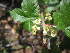  ( - MLTI63)  @11 [ ] Unspecified (default): All Rights Reserved  Unspecified Unspecified