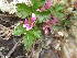 ( - MLTI56)  @11 [ ] Unspecified (default): All Rights Reserved  Unspecified Unspecified