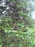 ( - MLTI88)  @14 [ ] Unspecified (default): All Rights Reserved  Unspecified Unspecified