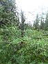  ( - MLTI87)  @13 [ ] Unspecified (default): All Rights Reserved  Unspecified Unspecified