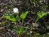  ( - MLTV27)  @11 [ ] Copyright (2011) Malie Lessard-Therrien Unspecified