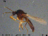  ( - MM-Cer101)  @11 [ ] Creative Commons  Attribution Non-Commercial Share-Alike (2020) NTNU University Museum, Department of Natural History NTNU University Museum, Department of Natural History