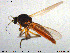  ( - MM-Cer112)  @11 [ ] Creative Commons  Attribution Non-Commercial Share-Alike (2020) NTNU University Museum, Department of Natural History NTNU University Museum, Department of Natural History