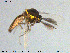  ( - MM-Cer115)  @11 [ ] Creative Commons  Attribution Non-Commercial Share-Alike (2020) NTNU University Museum, Department of Natural History NTNU University Museum, Department of Natural History