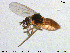  ( - MM-Cer123)  @11 [ ] Creative Commons  Attribution Non-Commercial Share-Alike (2020) NTNU University Museum, Department of Natural History NTNU University Museum, Department of Natural History