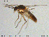  ( - MM-Cer163)  @11 [ ] Creative Commons  Attribution Non-Commercial Share-Alike (2020) NTNU University Museum, Department of Natural History NTNU University Museum, Department of Natural History