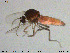  ( - MM-Cer166)  @11 [ ] Creative Commons  Attribution Non-Commercial Share-Alike (2020) NTNU University Museum, Department of Natural History NTNU University Museum, Department of Natural History