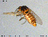  ( - MM-Cer168)  @11 [ ] Creative Commons  Attribution Non-Commercial Share-Alike (2020) NTNU University Museum, Department of Natural History NTNU University Museum, Department of Natural History