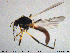  ( - MM-Cer180)  @11 [ ] Creative Commons  Attribution Non-Commercial Share-Alike (2020) NTNU University Museum, Department of Natural History NTNU University Museum, Department of Natural History