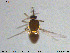  ( - MM-Cer182)  @11 [ ] Creative Commons  Attribution Non-Commercial Share-Alike (2020) NTNU University Museum, Department of Natural History NTNU University Museum, Department of Natural History