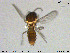  ( - MM-Cer193)  @11 [ ] Creative Commons  Attribution Non-Commercial Share-Alike (2020) NTNU University Museum, Department of Natural History NTNU University Museum, Department of Natural History