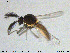  ( - MM-Cer196)  @11 [ ] Creative Commons  Attribution Non-Commercial Share-Alike (2020) NTNU University Museum, Department of Natural History NTNU University Museum, Department of Natural History