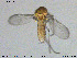  ( - MM-Cer201)  @11 [ ] Creative Commons  Attribution Non-Commercial Share-Alike (2020) NTNU University Museum, Department of Natural History NTNU University Museum, Department of Natural History