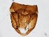 ( - MM-Cer254)  @11 [ ] by-nc-sa (2020) Unspecified Tromsø University Museum