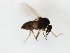 ( - MM-Cer255)  @11 [ ] by-nc-sa (2020) Unspecified Tromsø University Museum