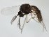  ( - MM-Cer297)  @11 [ ] by-nc-sa (2020) Unspecified Tromsø University Museum