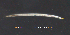  ( - MM-Cer333)  @11 [ ] Creative Commons  Attribution Non-Commercial Share-Alike (2021) NTNU University Museum, Department of Natural History NTNU University Museum, Department of Natural History