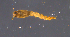  ( - MM-Cer334)  @11 [ ] Creative Commons  Attribution Non-Commercial Share-Alike (2021) NTNU University Museum, Department of Natural History NTNU University Museum, Department of Natural History