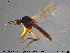  ( - MM-Cer96)  @11 [ ] Creative Commons  Attribution Non-Commercial Share-Alike (2020) NTNU University Museum, Department of Natural History NTNU University Museum, Department of Natural History
