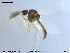  ( - MM-Cer03)  @13 [ ] CreativeCommons - Attribution Non-Commercial Share-Alike (2019) Unspecified NTNU University Museum