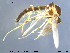  ( - MM-Cer22)  @11 [ ] CreativeCommons - Attribution Non-Commercial Share-Alike (2019) Unspecified NTNU University Museum