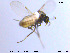  ( - MM-Cer38)  @11 [ ] CreativeCommons - Attribution Non-Commercial Share-Alike (2019) Unspecified NTNU University Museum