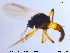  ( - MM-Cer40)  @11 [ ] CreativeCommons - Attribution Non-Commercial Share-Alike (2019) Unspecified NTNU University Museum