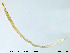  ( - MM-Cer56)  @11 [ ] CreativeCommons - Attribution Non-Commercial Share-Alike (2019) Unspecified NTNU University Museum