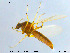  ( - MM-Cer64)  @11 [ ] CreativeCommons - Attribution Non-Commercial Share-Alike (2019) Unspecified NTNU University Museum
