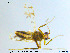  ( - MM-Cer67)  @11 [ ] CreativeCommons - Attribution Non-Commercial Share-Alike (2019) Unspecified NTNU University Museum