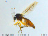  ( - MM-Cer69)  @11 [ ] CreativeCommons - Attribution Non-Commercial Share-Alike (2019) Unspecified NTNU University Museum