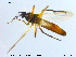  ( - MM-Cer74)  @11 [ ] CreativeCommons - Attribution Non-Commercial Share-Alike (2019) Unspecified NTNU University Museum