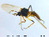  ( - MM-Cer74)  @11 [ ] CreativeCommons - Attribution Non-Commercial Share-Alike (2019) Unspecified NTNU University Museum