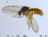  ( - MM-Cer31)  @11 [ ] CreativeCommons - Attribution Non-Commercial Share-Alike (2019) Unspecified NTNU University Museum