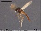  ( - MM-CH07)  @13 [ ] CreativeCommons - Attribution Share-Alike (2019) NTNU Museum of Natural History and Archaeology NTNU University Museum, Department of Natural History