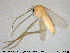  ( - MM-CH105)  @11 [ ] Creative Commons  Attribution Non-Commercial Share-Alike (2020) NTNU University Museum, Department of Natural History NTNU University Museum, Department of Natural History