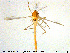  ( - MM-CH112)  @11 [ ] Creative Commons  Attribution Non-Commercial Share-Alike (2020) NTNU University Museum, Department of Natural History NTNU University Museum, Department of Natural History