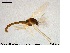  ( - MM-CH12)  @12 [ ] CreativeCommons - Attribution Share-Alike (2019) NTNU Museum of Natural History and Archaeology NTNU University Museum, Department of Natural History