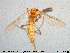  ( - MM-CH128)  @11 [ ] Creative Commons  Attribution Non-Commercial Share-Alike (2020) NTNU University Museum, Department of Natural History NTNU University Museum, Department of Natural History