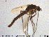 ( - MM-CH135)  @11 [ ] Creative Commons  Attribution Non-Commercial Share-Alike (2020) NTNU University Museum, Department of Natural History NTNU University Museum, Department of Natural History