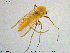  ( - MM-CH142)  @12 [ ] Creative Commons  Attribution Non-Commercial Share-Alike (2020) NTNU University Museum, Department of Natural History NTNU University Museum, Department of Natural History