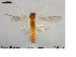  ( - MM-CH15)  @13 [ ] CreativeCommons - Attribution Share-Alike (2019) NTNU Museum of Natural History and Archaeology NTNU University Museum, Department of Natural History