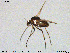  ( - MM-CH174)  @11 [ ] Creative Commons  Attribution Non-Commercial Share-Alike (2020) NTNU University Museum, Department of Natural History NTNU University Museum, Department of Natural History