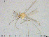  ( - MM-CH184)  @11 [ ] Creative Commons  Attribution Non-Commercial Share-Alike (2020) NTNU University Museum, Department of Natural History NTNU University Museum, Department of Natural History