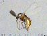  ( - MM-CH186)  @11 [ ] Creative Commons  Attribution Non-Commercial Share-Alike (2020) NTNU University Museum, Department of Natural History NTNU University Museum, Department of Natural History