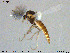  ( - MM-CH195)  @11 [ ] Creative Commons  Attribution Non-Commercial Share-Alike (2020) NTNU University Museum, Department of Natural History NTNU University Museum, Department of Natural History