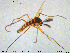  ( - MM-CH222)  @11 [ ] Creative Commons  Attribution Non-Commercial Share-Alike (2020) NTNU University Museum, Department of Natural History NTNU University Museum, Department of Natural History