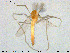  ( - MM-CH229)  @11 [ ] Creative Commons  Attribution Non-Commercial Share-Alike (2020) NTNU University Museum, Department of Natural History NTNU University Museum, Department of Natural History
