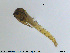  ( - MM-CH37)  @12 [ ] CreativeCommons - Attribution Share-Alike (2019) NTNU Museum of Natural History and Archaeology NTNU Museum of Natural History and Archaeology